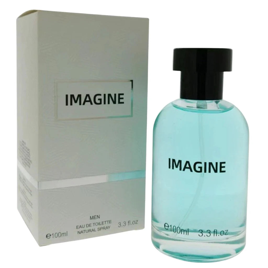 Imagine Eau de Toilette for Men 100ml bottle and silver packaging featuring citrus and woody fragrance notes.
